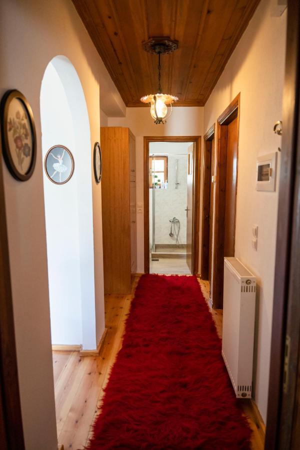 Zagori Home Monodendri Exteriér fotografie